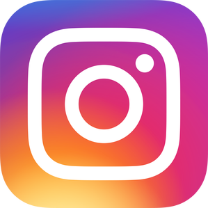 Instagram icon, link to Transitions Instagram page